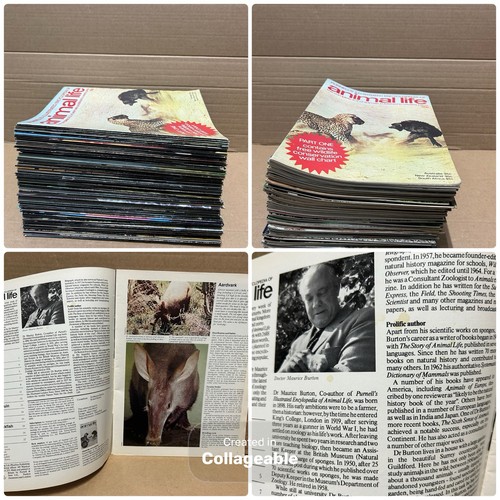 Bundle 96 purnell s - 1-96, purnell’s