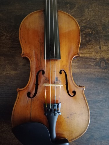 Violino antico - violino,