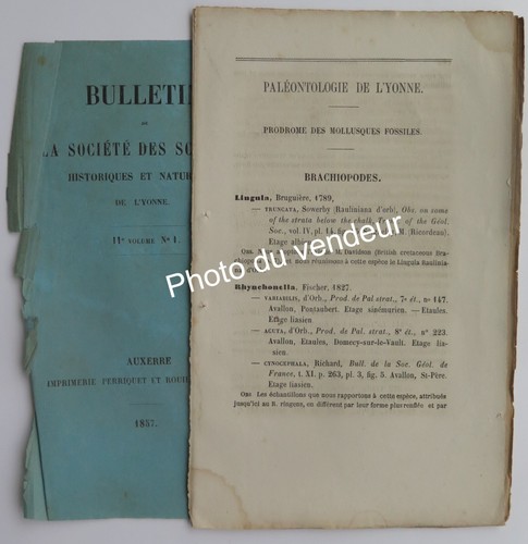 Paléontologie cotteau 1857 - paléontologie:, cotteau,