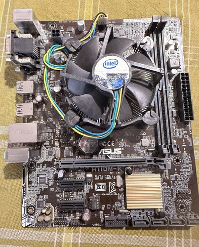 Scheda madre asus - scheda,