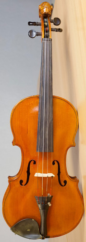 Vecchio violino - violino,