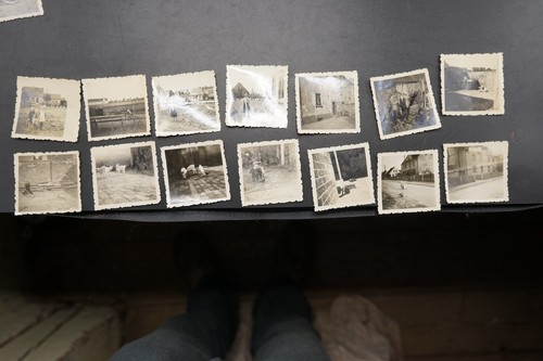 Foto raccolta lotto rdt ramsin - foto,