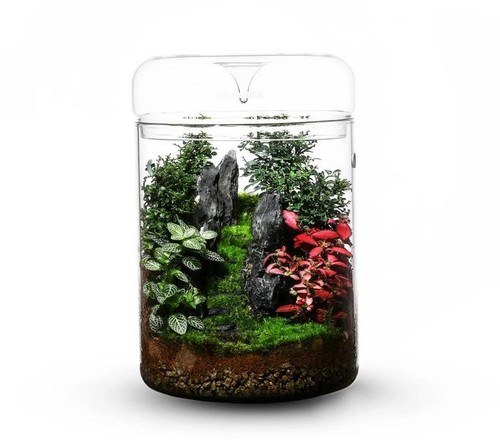 Bioloark luji 180h 18x26 - my-180h, 18x26,5h