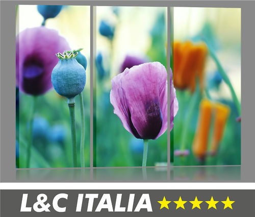 Poppies quadri moderni - 3,