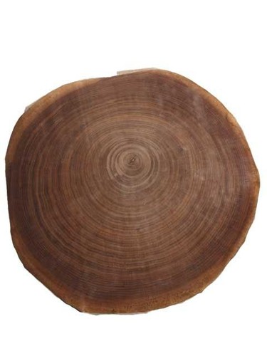 Furnire noce croce - noce,