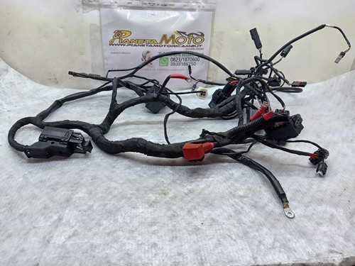 Cablaggio elettrico principale - cablaggio,