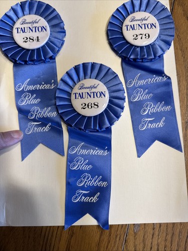 Taunton greyhound dog - greyhound, track