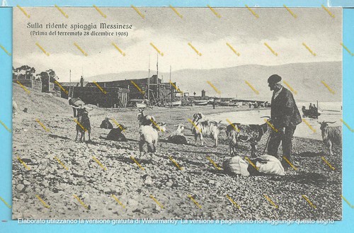 Cartolina della spiaggia - della, di