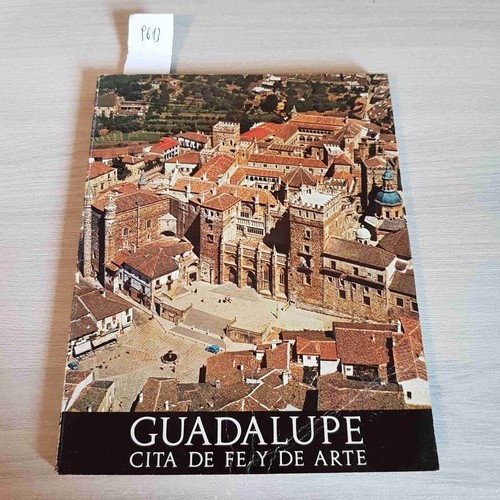 Guadalupe cita de arte - guadalupe,