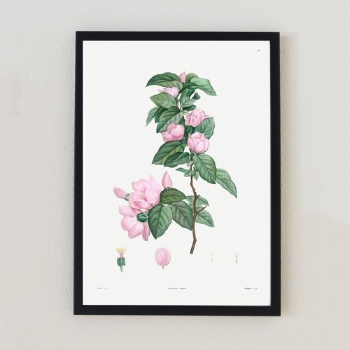Illustrazione floreale vintage