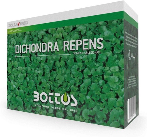 Semi prato dichondra repens - , da