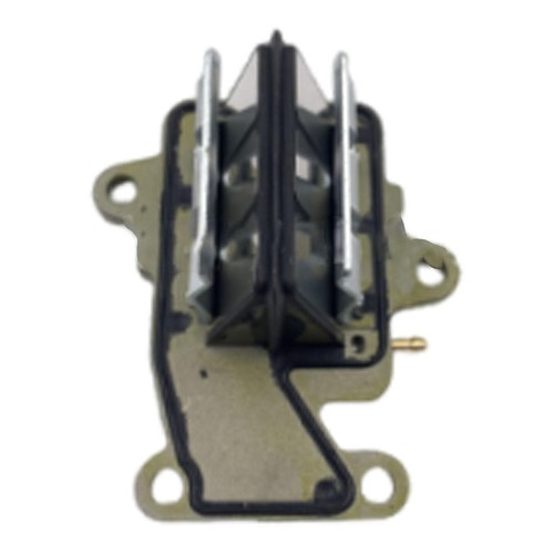 Valvola reed 63v 13610 assy - valvola,