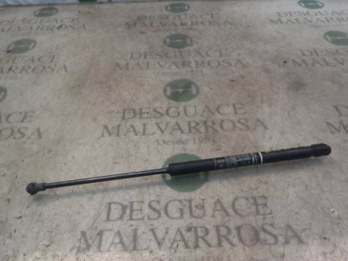 Ammortizzatori baule porte - ammortizzatori,