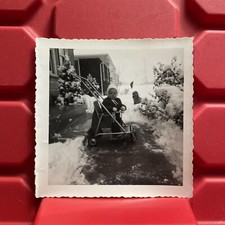 Boy In Stroller With Brother