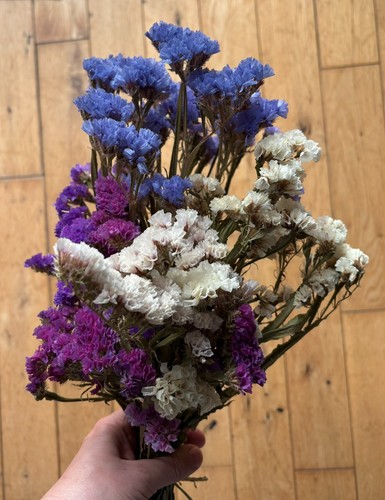 Corona eterna fiori - , essiccati