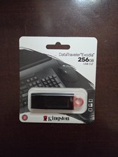 PENDRIVE PEN DRIVE 256 GB