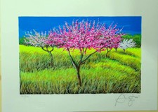 FRANCO AZZINARI Serigrafia cm