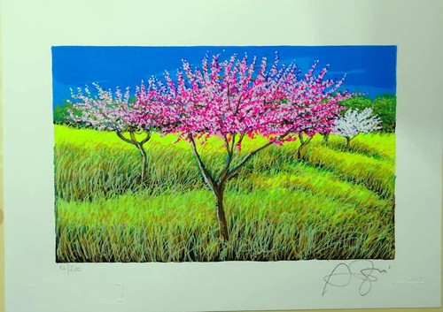 Franco azzinari serigrafia - serigrafia, cm
