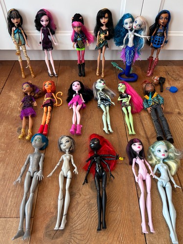 Monster high doll lot 17 - high,