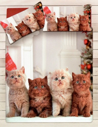 Copripiumino gatti natale - gatti,