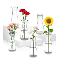 6 Pezzi Set di Piccoli Vaso