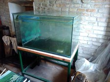 acquari da allevamento professionali, articoli per animali, pesci 