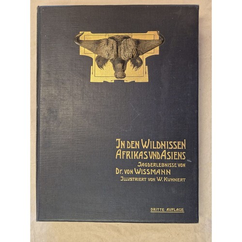 Den wildnissen afrikas - in,