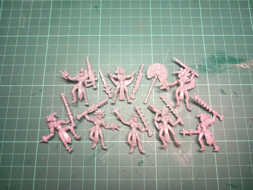 Lustria amazon warband - amazon,