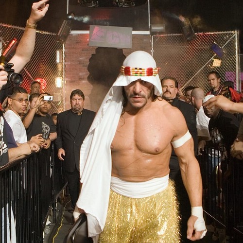 Wrestling superstars - wrestling, - 