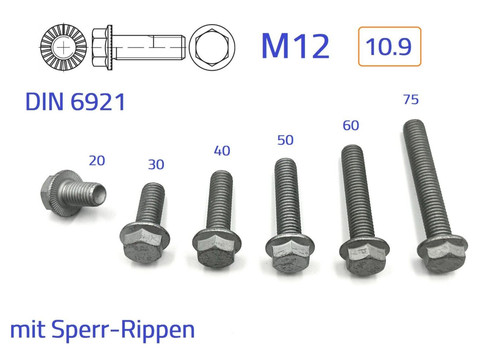 Schraube mit bund m12x60 - 1,