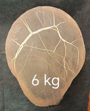 SEPTARIA GREZZA 6 KG MINERALI COLLEZIONE CRISTALLOTERAPIA ARREDAMENTO