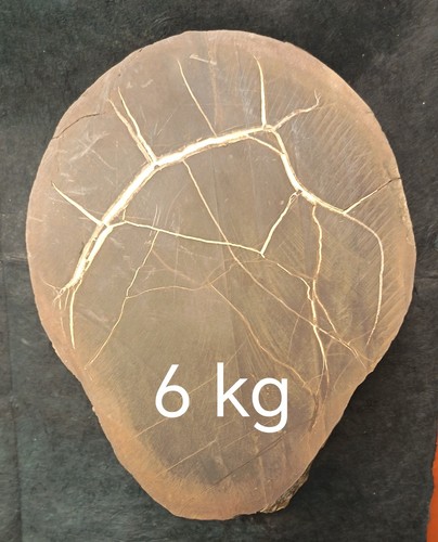 Septaria grezza minerali - 6,