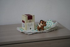 THUN BAMBINA   SULL’ASINO