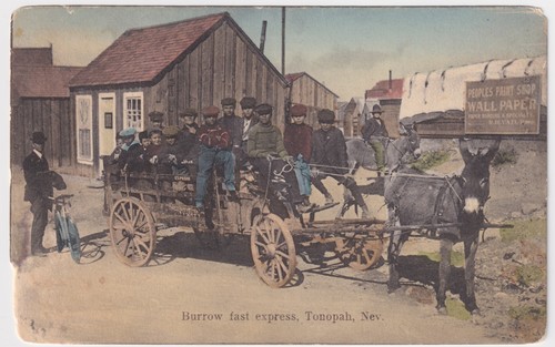 Nevada tonopah burrow fast - nevada,
