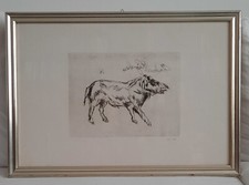 Antonio Ligabue    Soggetto  Cavallo  (?)