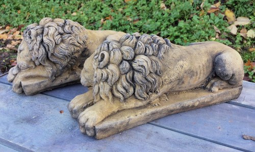 Coppia leoni dormienti - coppia, di