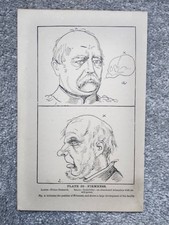 Firmness - Phrenology -