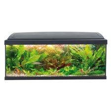 MTB Acquari Milo 100 Acquario