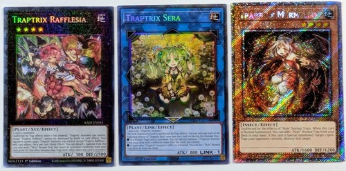 Traptrix rafflesia - traptrix,