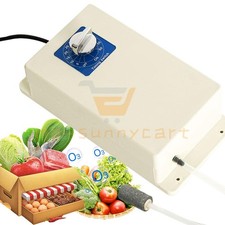 2000mg ozone generator - 2000mg/h,