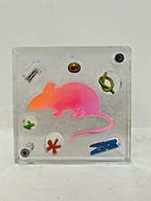 RENZO NUCARA SCULTURA TOPO STELLA ROSSA RESINE PLEXGLASS CRACKING ARTIST