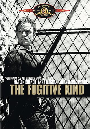 The fugitive kind - (dvd,, 1960)