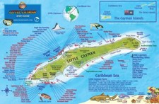 Little Cayman Dive Map & Reef Creatures Guide Waterproof Fish Card Franko Maps