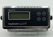 MONITOR SCALA PESA CAMION