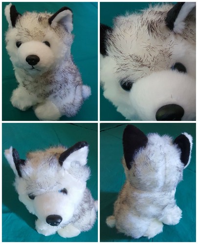 Peluche cane husky - peluche, cane🐕husky