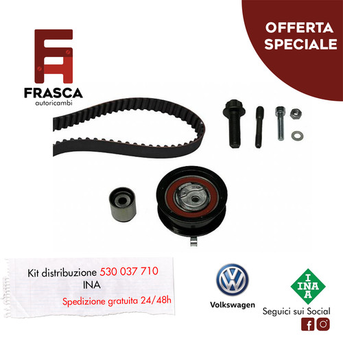 Kit distribuzione ina - kit,