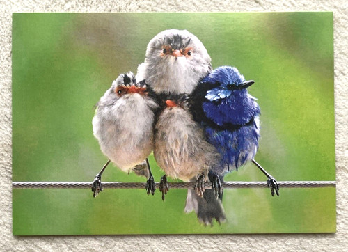 Cartolina postale coda di - 1,