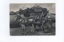 PALERMO - Carro Siciliano -