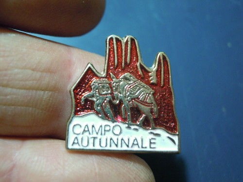 Spilla pins campo - spilla,