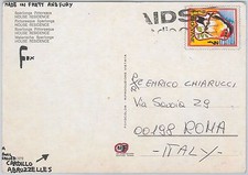 56561 - Animali UCCELLINI - ITALIA - STORIA POSTALE: FRANCOBOLLO FALSO su CARTOLINA